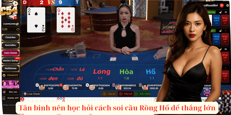 Tân binh nên học hỏi cách soi cầu Rồng Hổ để thắng lớn