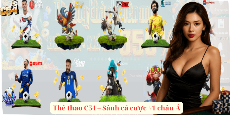 Thể thao C54 – Sảnh cá cược #1 châu Á